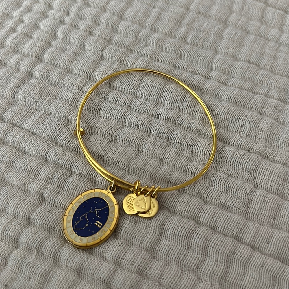 Alex and Ani Aquarius Bracelet